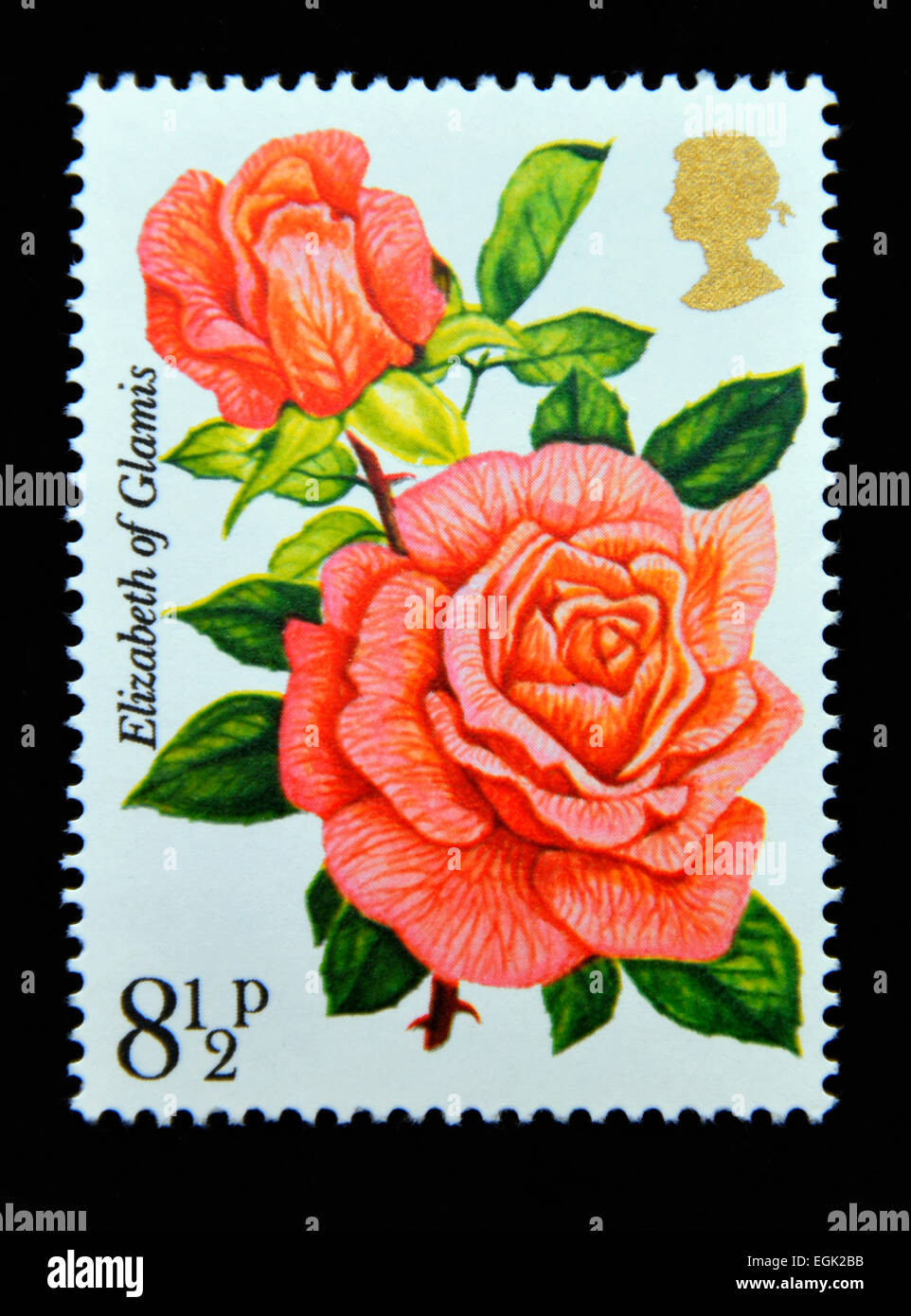 Francobollo. La Gran Bretagna. La regina Elisabetta II. 1976. Centenario della Royal National Rose Society. Elisabetta di Glamis. Foto Stock