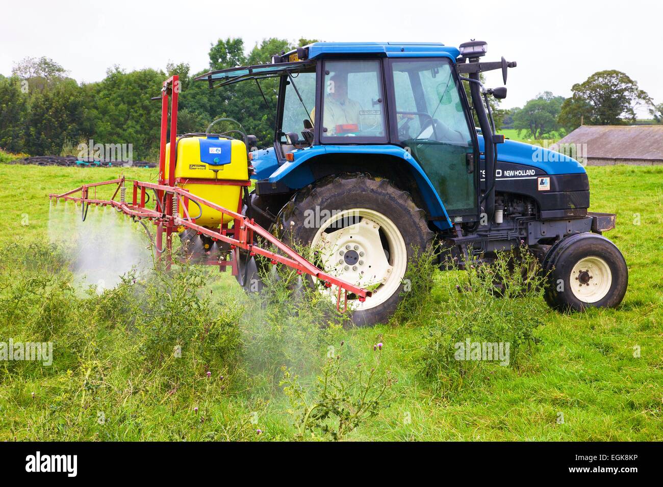 T90 trattore New Holland con spruzzatore, spruzzatura cardi. Foto Stock