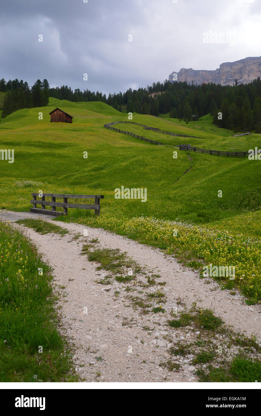 Rifugio alpino in Prato ondulato in primavera Foto Stock