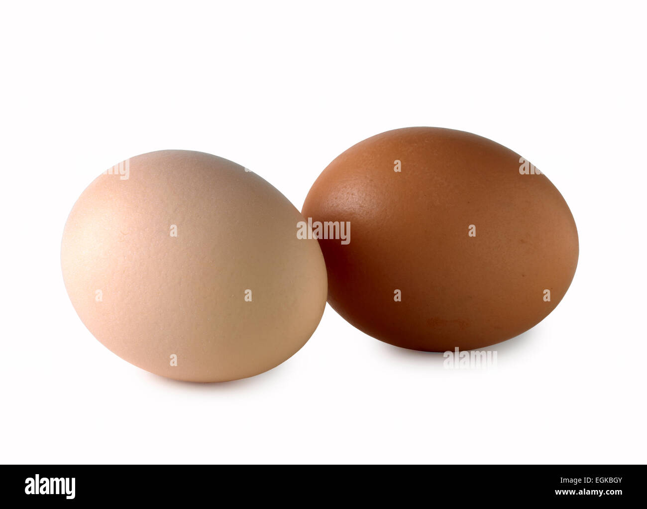 Bianco marrone uovo uovo Foto Stock