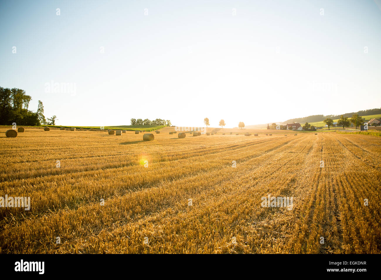 Sera dopo il raccolto in Baviera, Germania. Foto Stock