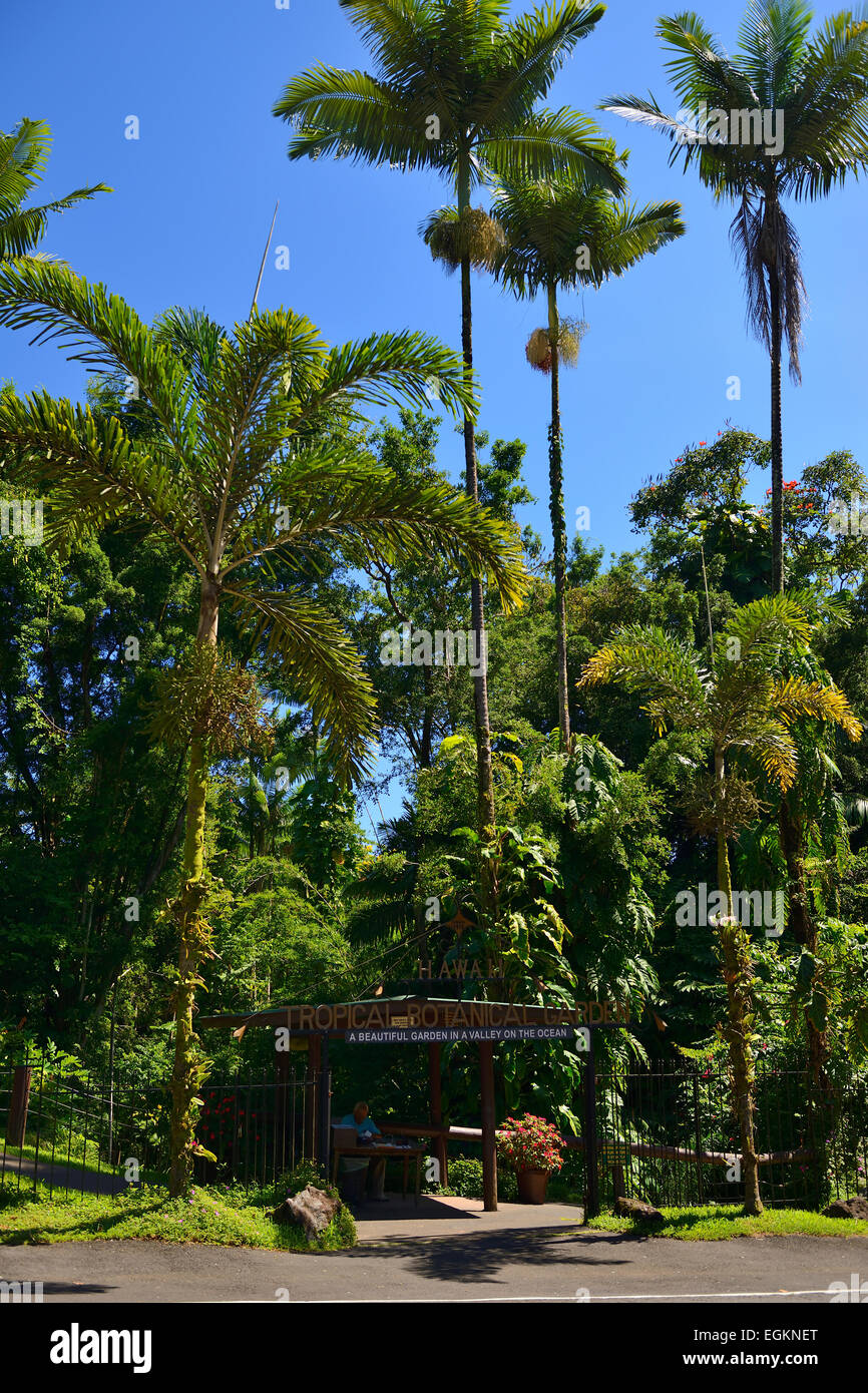 Ingresso alle Hawaii Tropicale Giardino Botanico su Onomea Bay, Big Island, Hawaii, STATI UNITI D'AMERICA Foto Stock