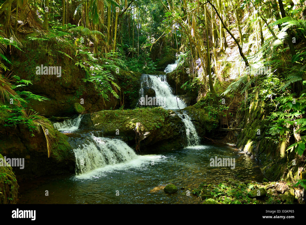 Onomea cascate in Hawaii Tropicale Giardino Botanico su Onomea Bay, Big Island, Hawaii, STATI UNITI D'AMERICA Foto Stock