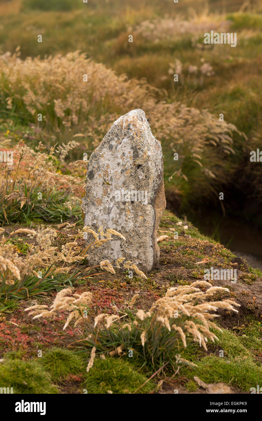 Atlantico Sud, Falklands, nuova isola, lichen coperte di pietra di marcatore a stream Foto Stock