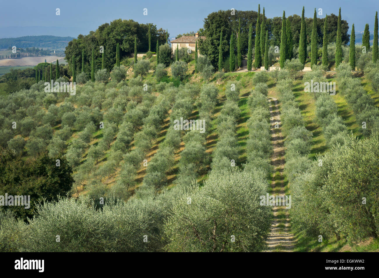 Splendido paesaggio della campagna Toscana, Toscana, Italia. Foto Stock