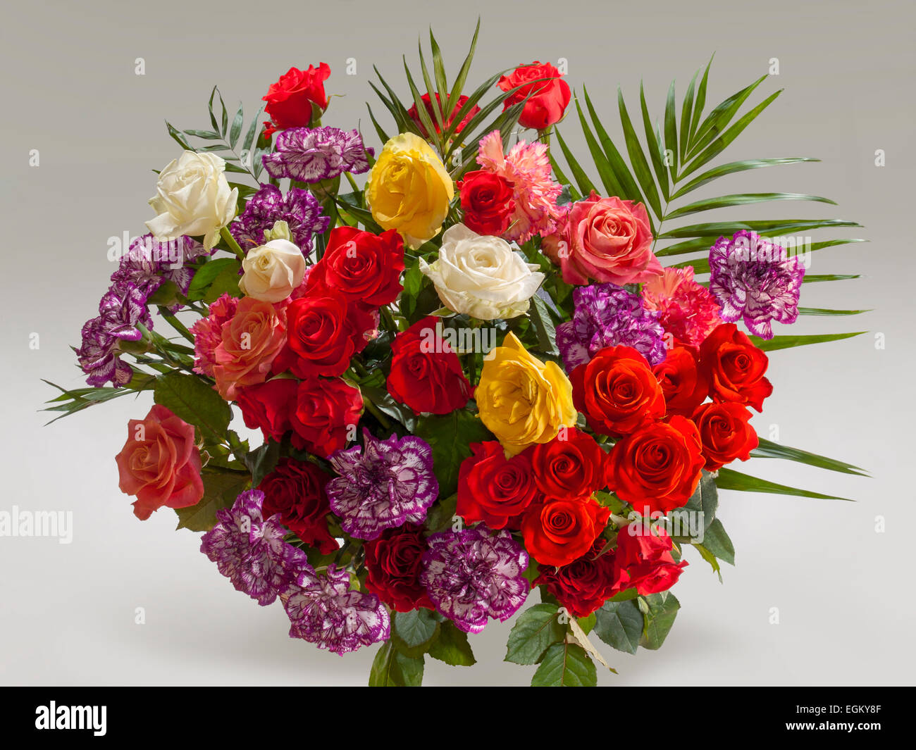 Bouquet di rose rosse e garofani. (Dianthus), (Pxoenix roebelenii). (Rosa)sfondo grigio chiaro , orizzontali Foto Stock