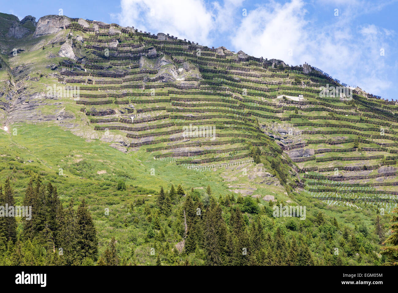 Neve in legno recinzioni o valanghe recinzioni linea i ripidi pendii delle creste di montagna nelle Alpi Svizzere vicino Murren, Svizzera. Foto Stock