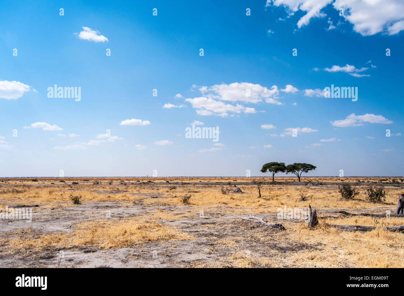 Paesaggio africano Foto Stock