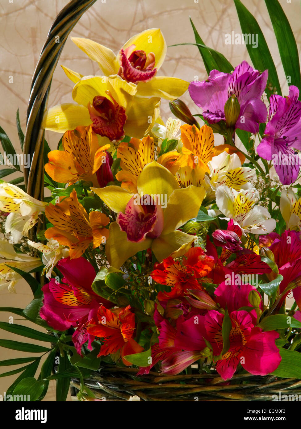 Cesto con orchidee-3 sfondo grigio (Phalaenopsis).(Alstroemeria), (Pxoenix roebelenii) verticale. Foto Stock