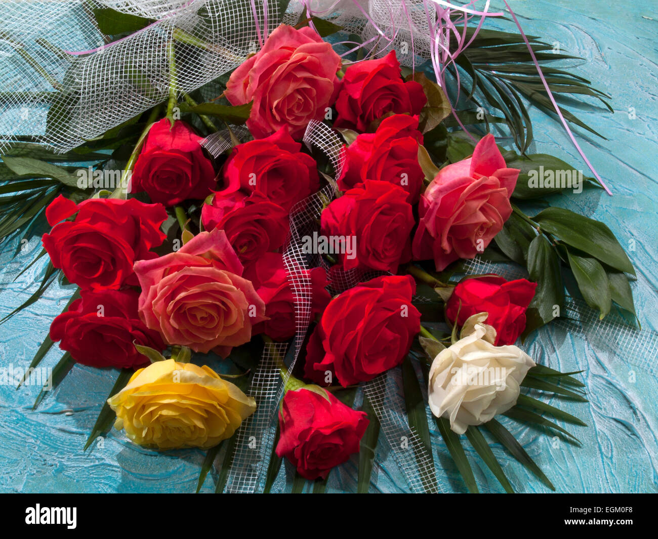 Bouquet di rose rosse su un tavolo, sfondo blu , orizzontali .(Phoenix roebelenii), ruskus(Ruscus),mesh fiore decorativo Foto Stock