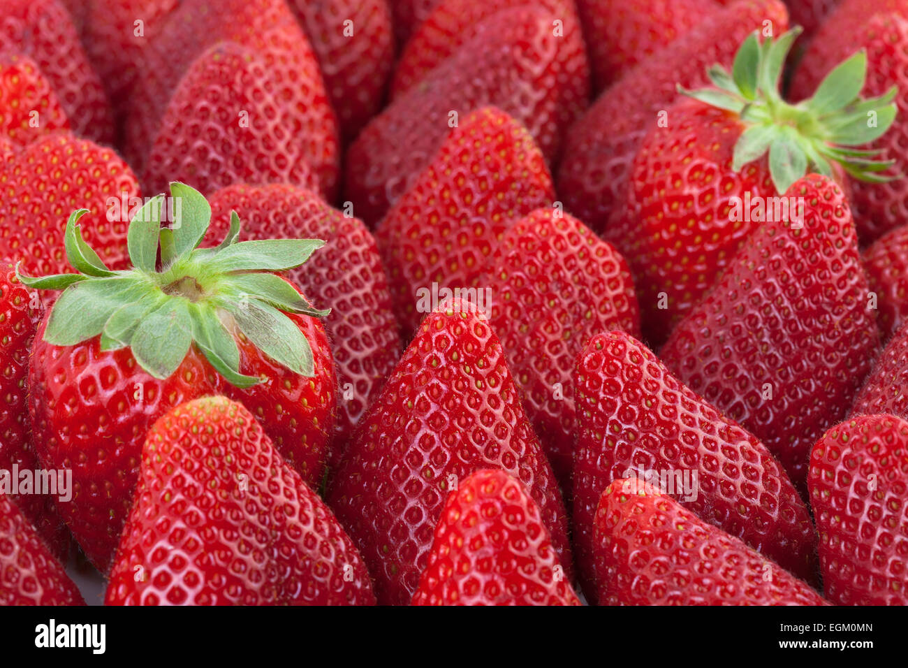 Fragole macro sfondo Foto Stock