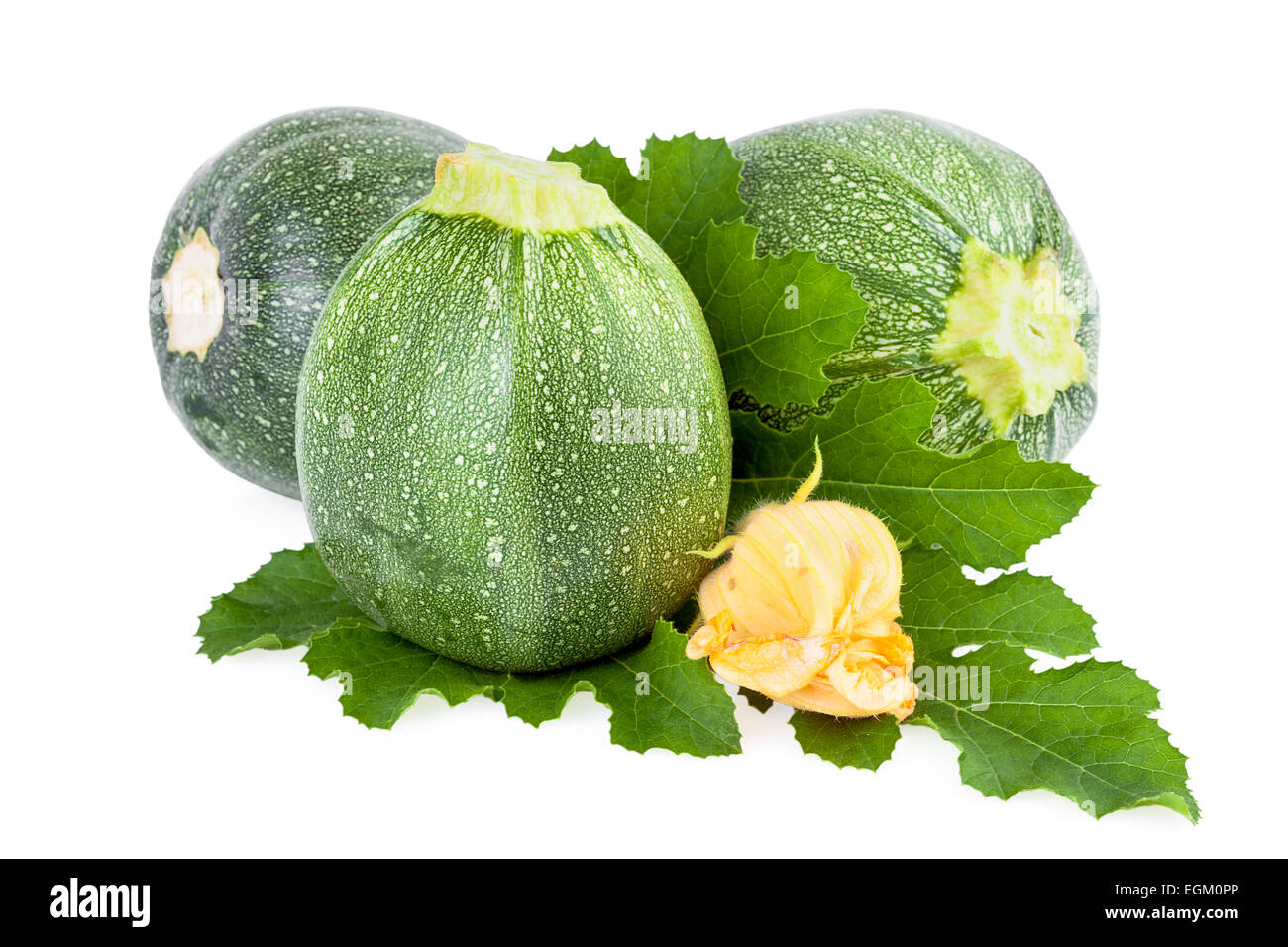 Zucchine isolato vegetale sfondo bianco Foto Stock
