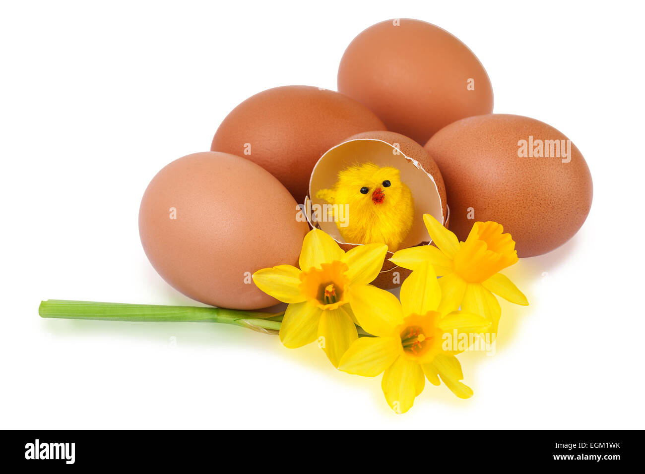 Uovo di Pasqua decorazione con funny pulcino Foto Stock