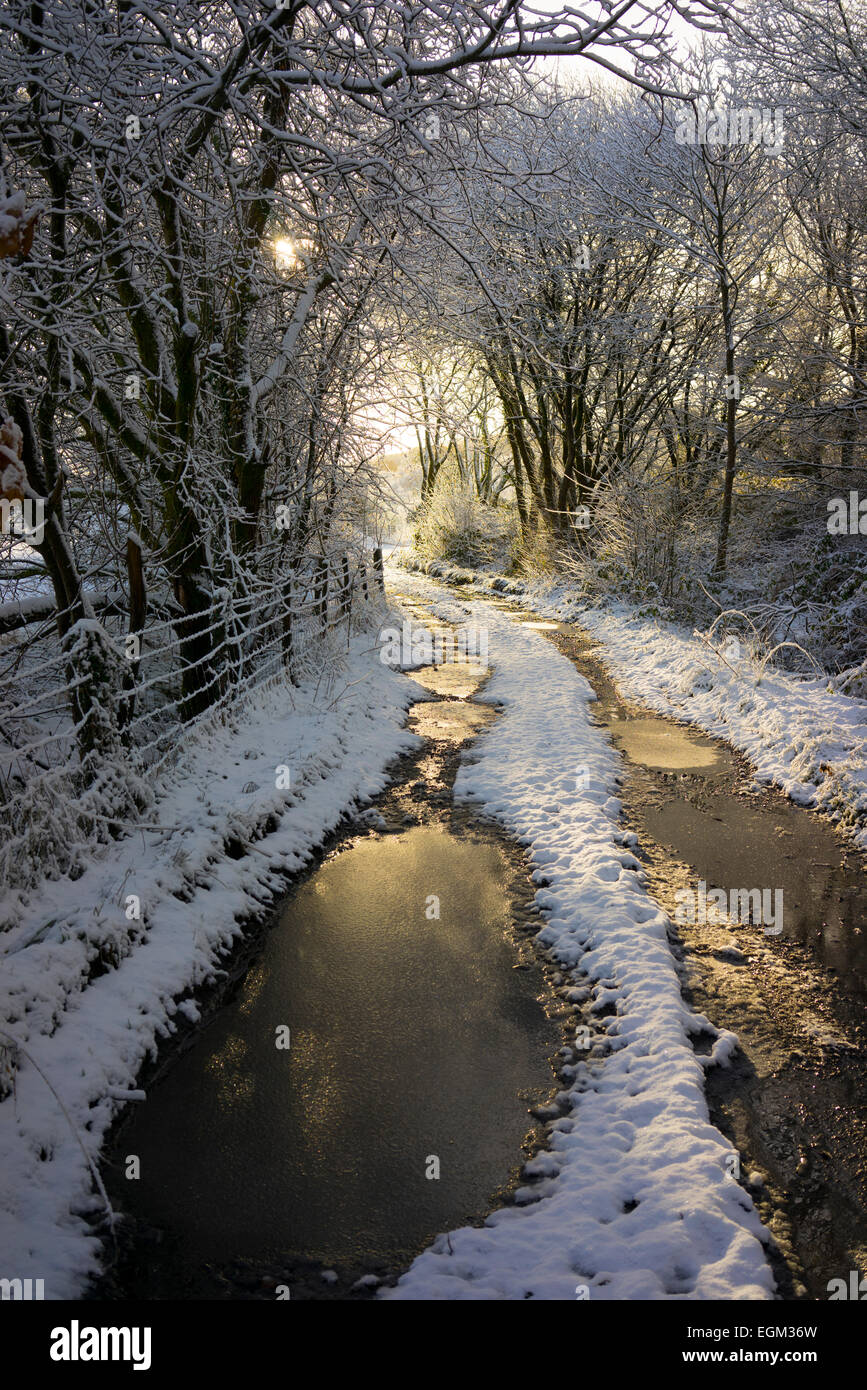 Vicolo del paese in Galles nella neve. Foto Stock