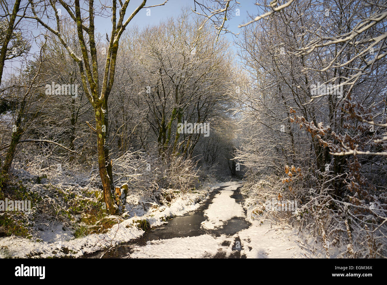 Vicolo del paese in Galles nella neve. Foto Stock