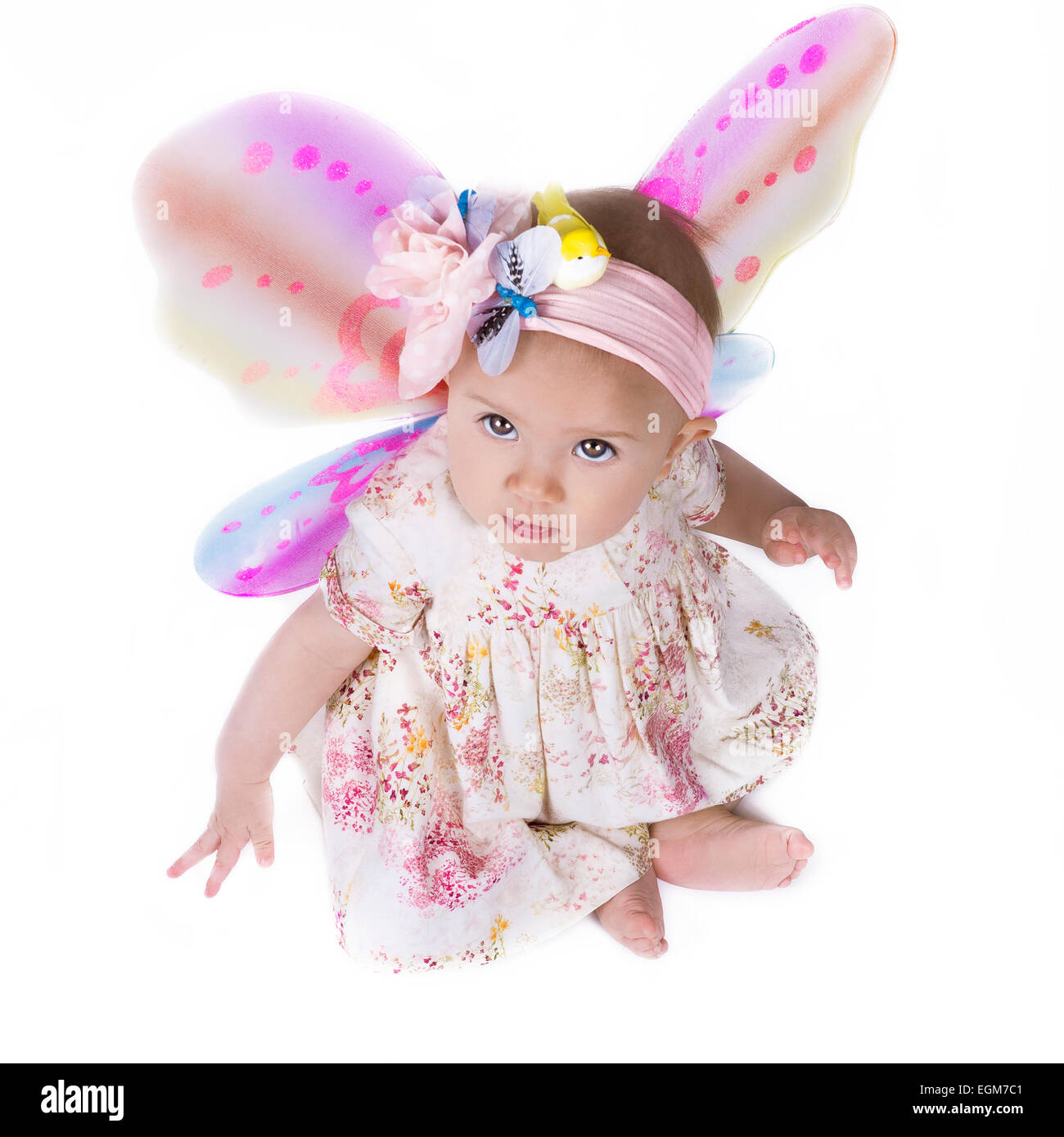 Carino bambina vestito con un abito di fiori e ali di farfalla guardando verso l'alto. Isolato su bianco. Foto Stock