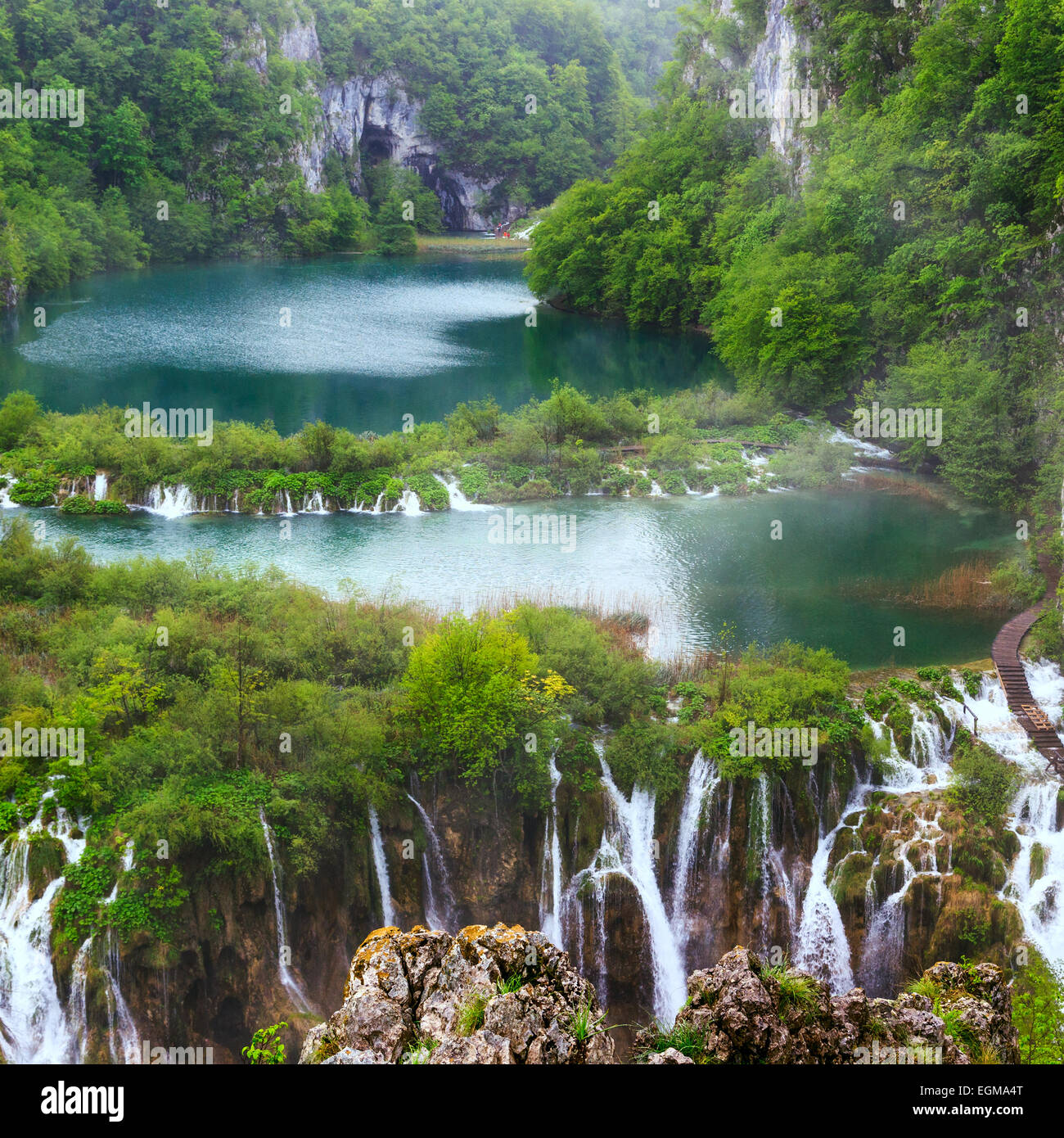 Laghi nella foresta. Acqua cristallina. I laghi di Plitvice, Croazia Foto Stock