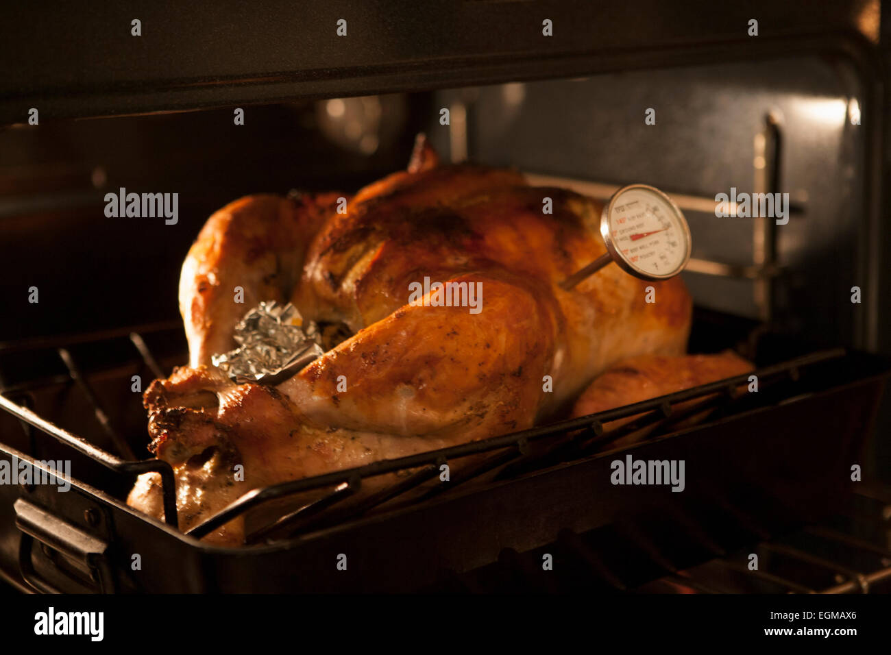 La Turchia con il termometro nel forno Foto Stock