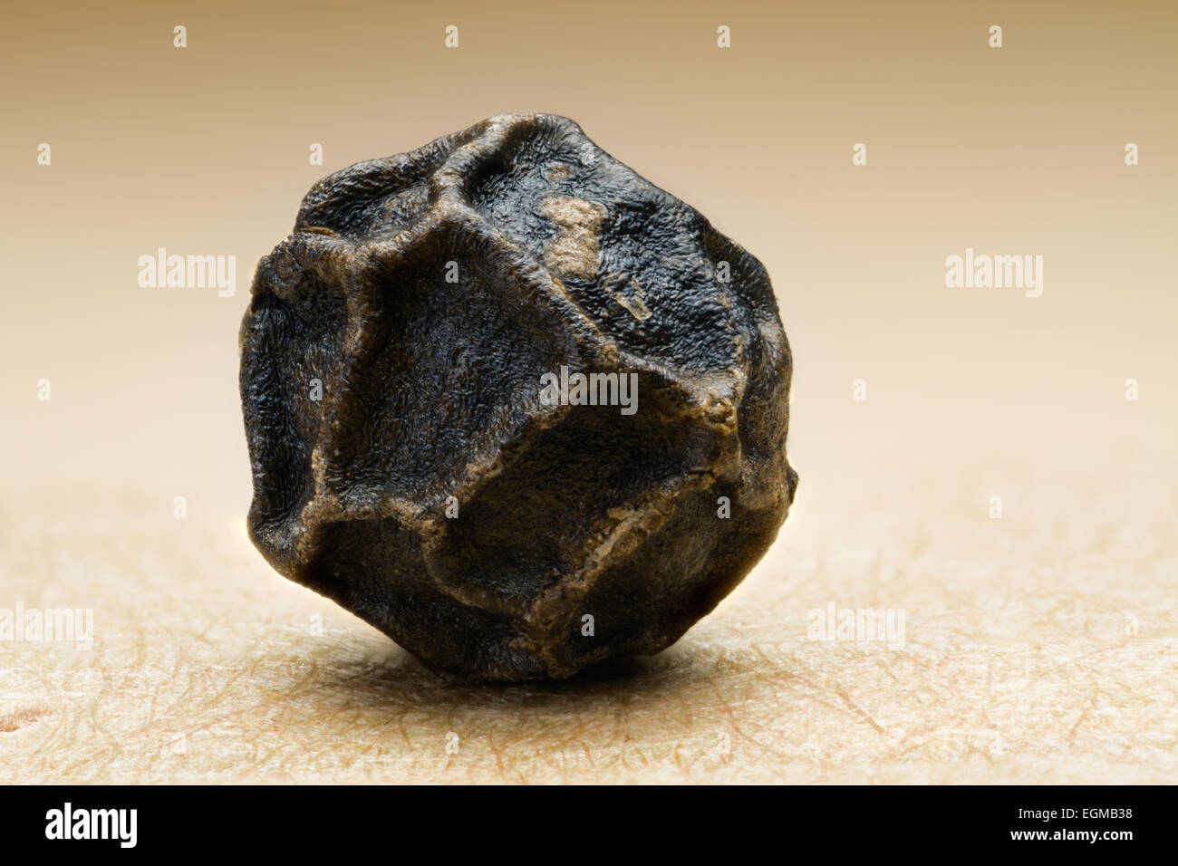 Peppe nero, fotografia macro Foto Stock