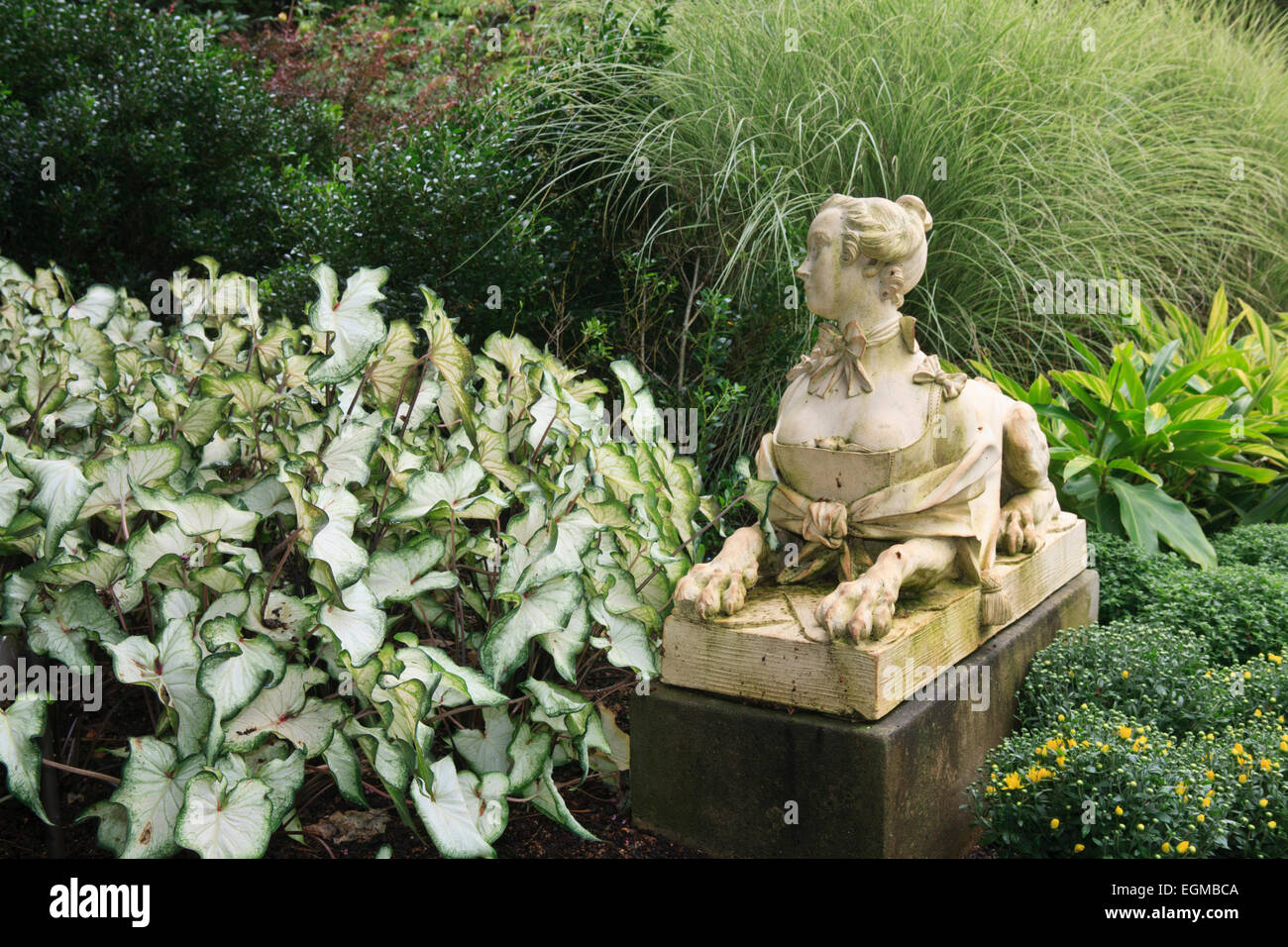 Era Vittoriana sphinx statua in un giardino (Cheekwood giardini, Nashville, Tennessee).. Foto Stock