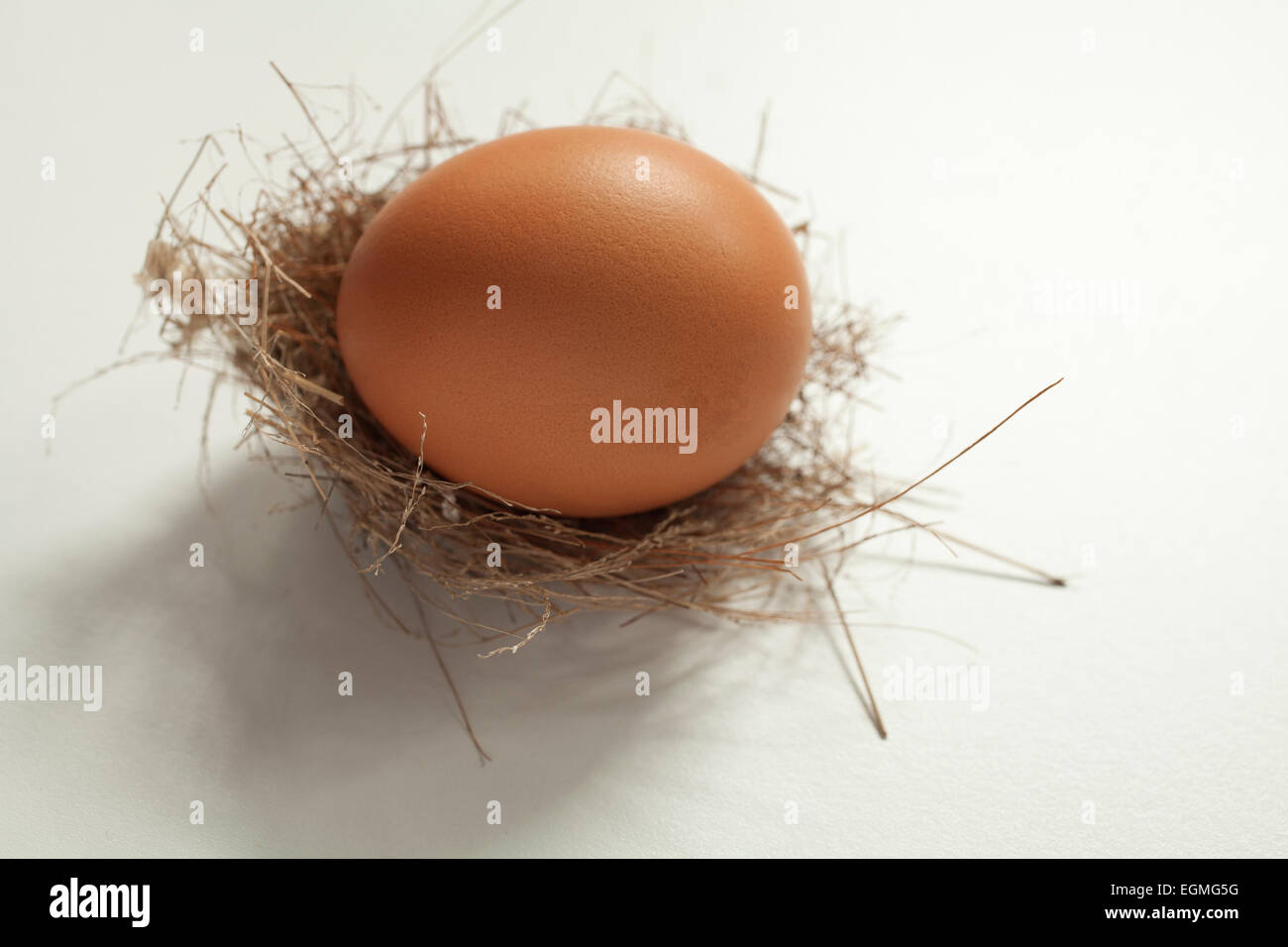 Un uovo di pollo in un uccello selvatico delicato del nido. Foto Stock