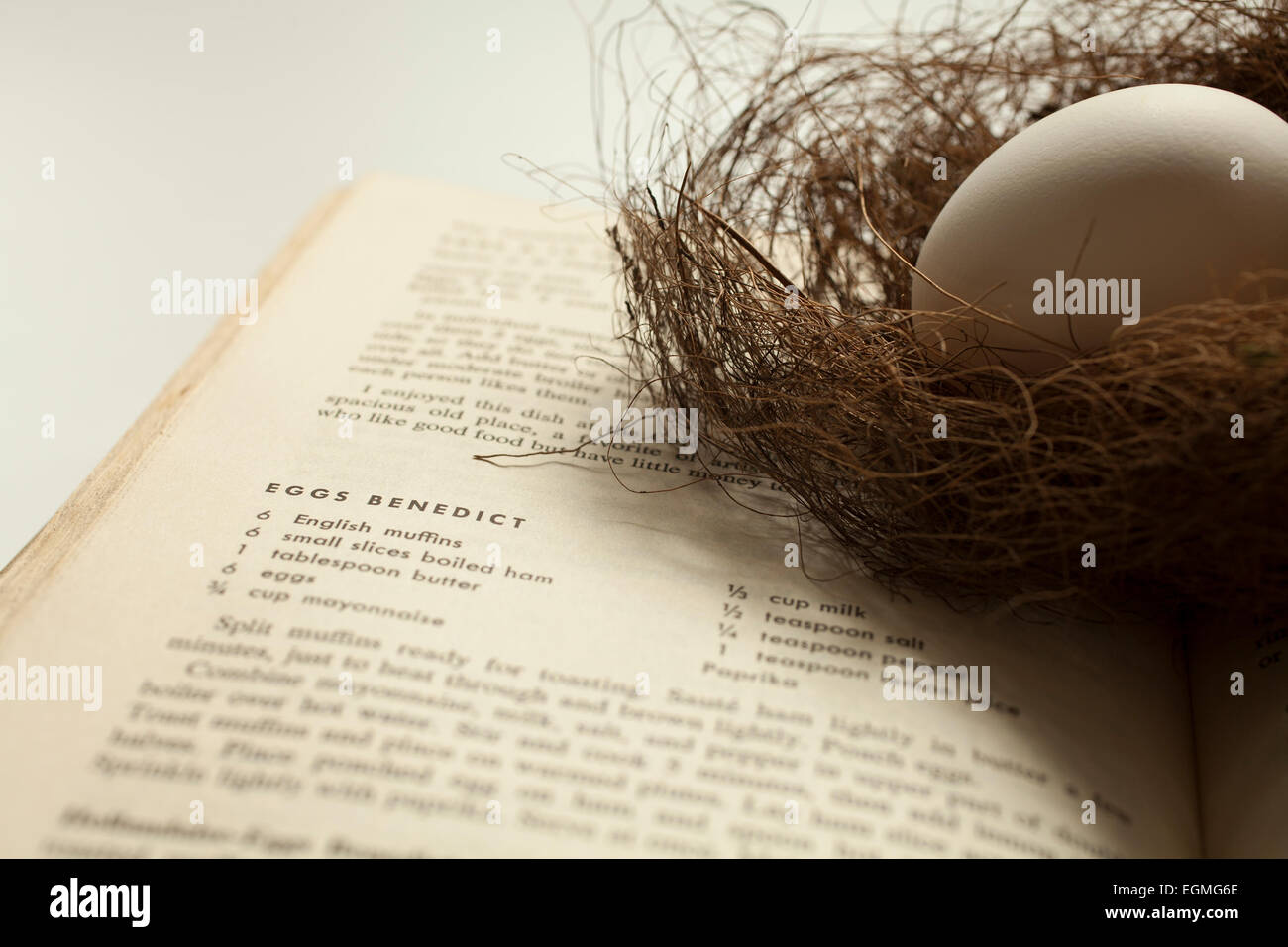 Un uovo in un delicato nido di uccelli appoggia su un libro di cucina aperta per una ricetta per uova strapazzate. Foto Stock
