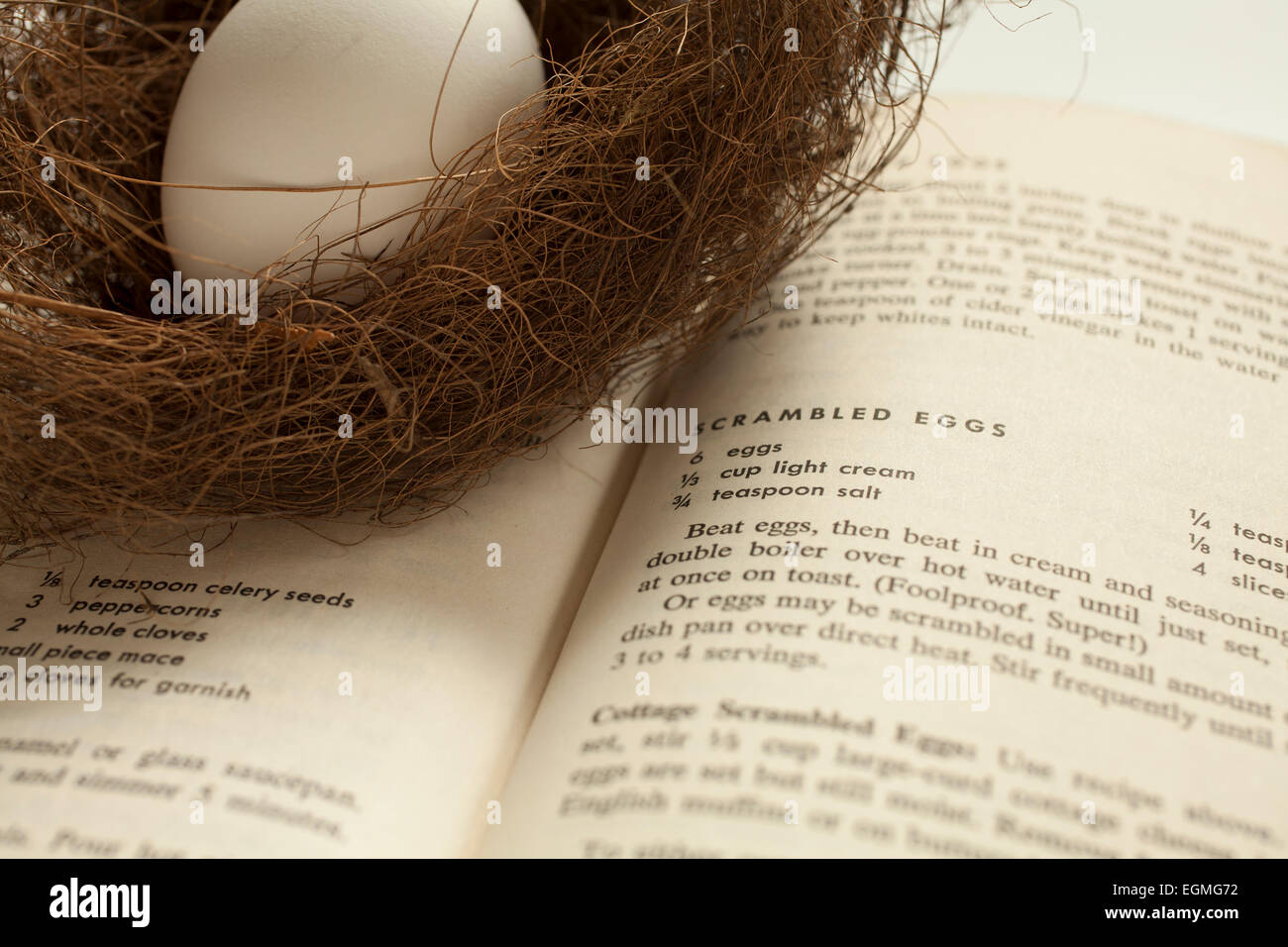 Un uovo in un delicato nido di uccelli appoggia su un libro di cucina aperta per una ricetta per uova strapazzate. Foto Stock