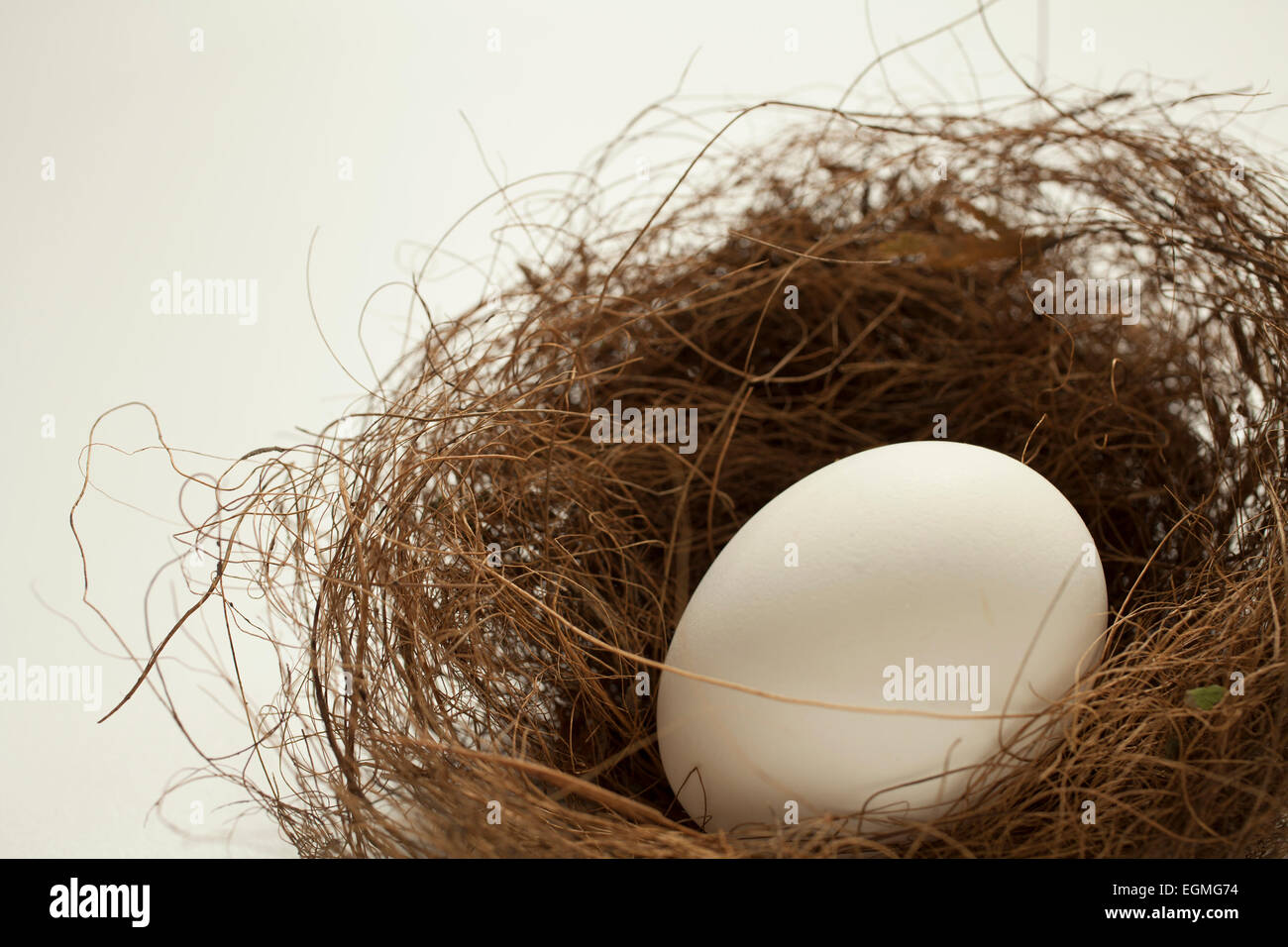 Un uovo di pollo in un uccello selvatico delicato del nido. Foto Stock