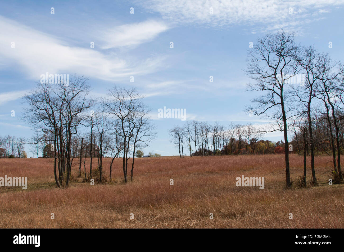 Paesaggio in Greene County nel sud indiana Foto Stock