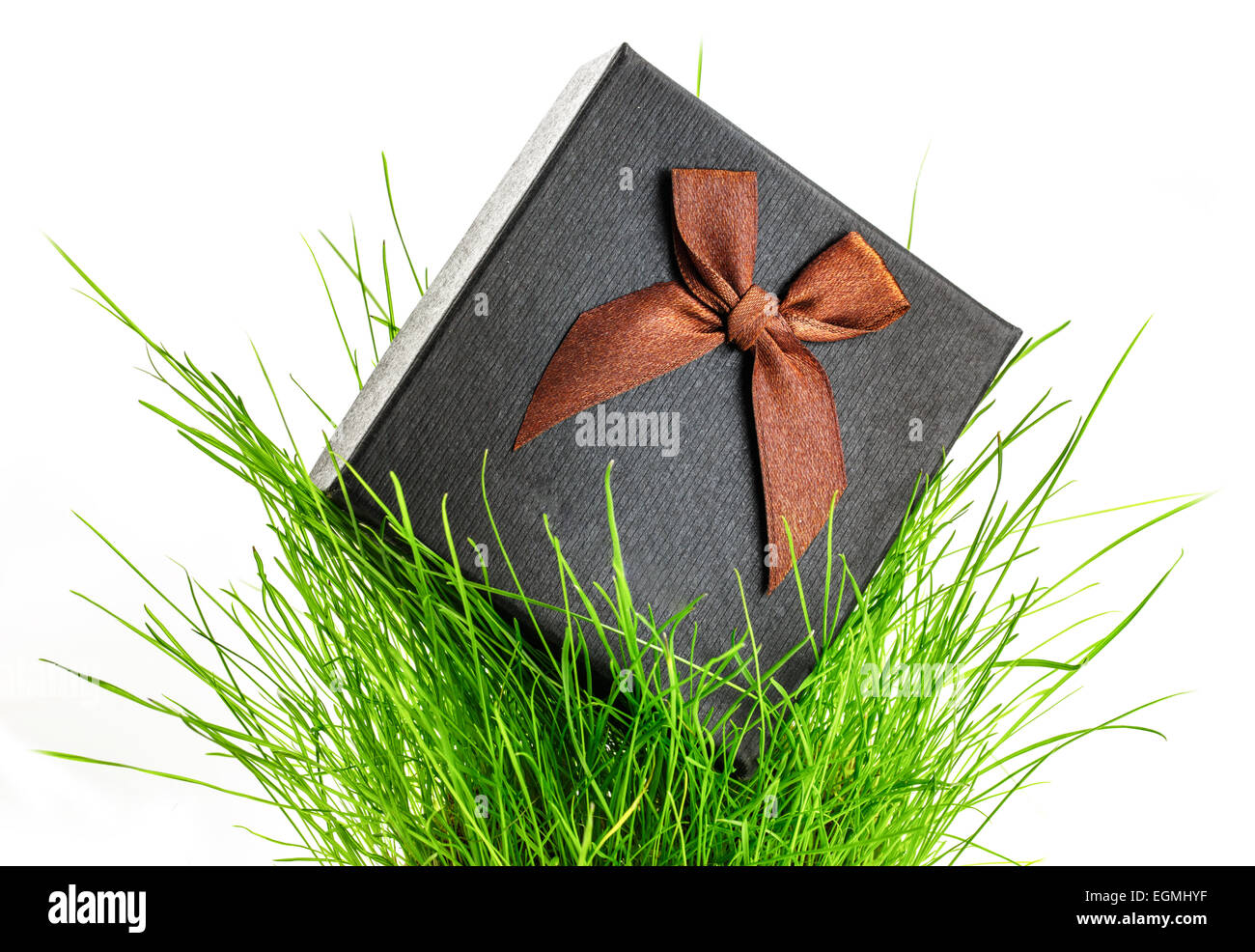Confezione regalo con fiocco in erba verde su bianco Foto Stock