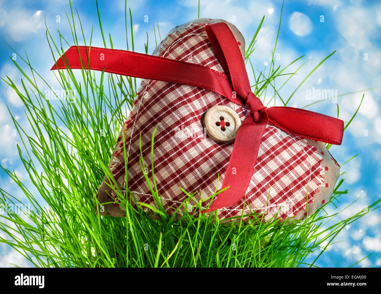 Valentino cuore selezionata con il pulsante e il nastro sull'erba Foto Stock