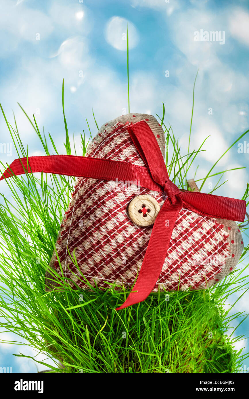 Valentino cuore selezionata con il pulsante e il nastro sull'erba Foto Stock