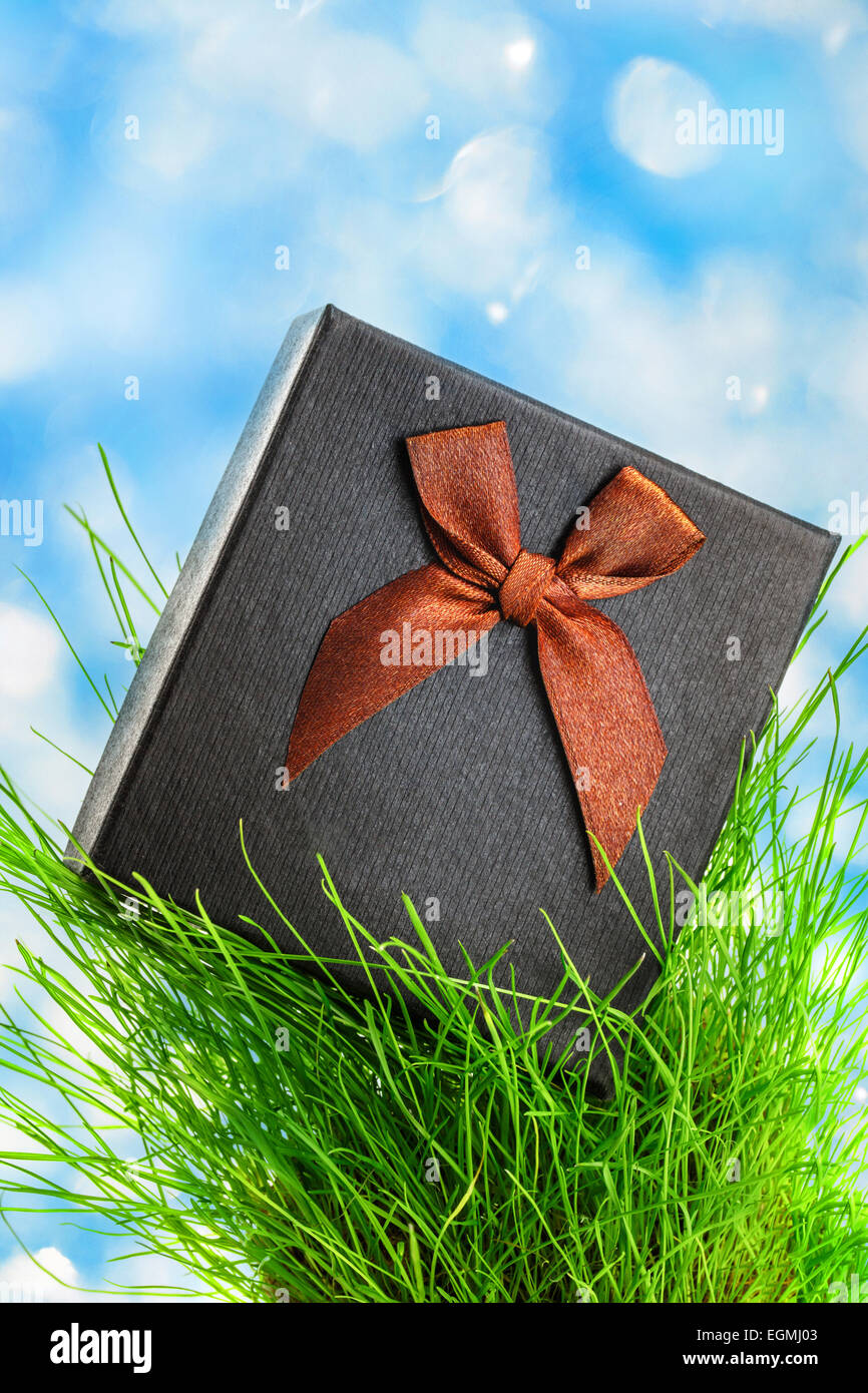 Confezione regalo con fiocco in erba verde su blu Foto Stock