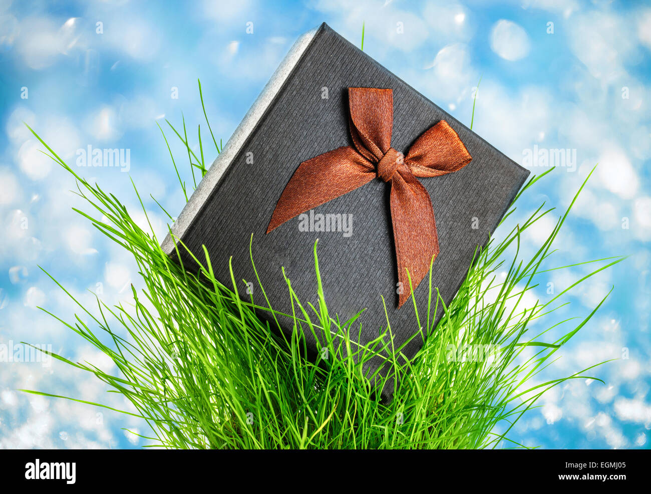Confezione regalo con fiocco in erba verde su blu Foto Stock