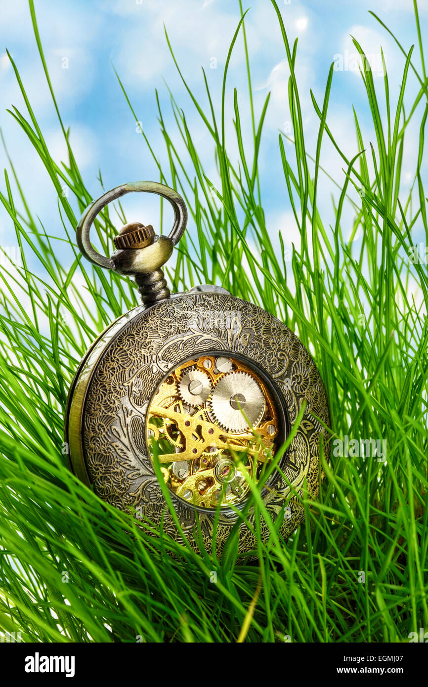 Vintage orologio da tasca in fresco di erba verde Foto Stock