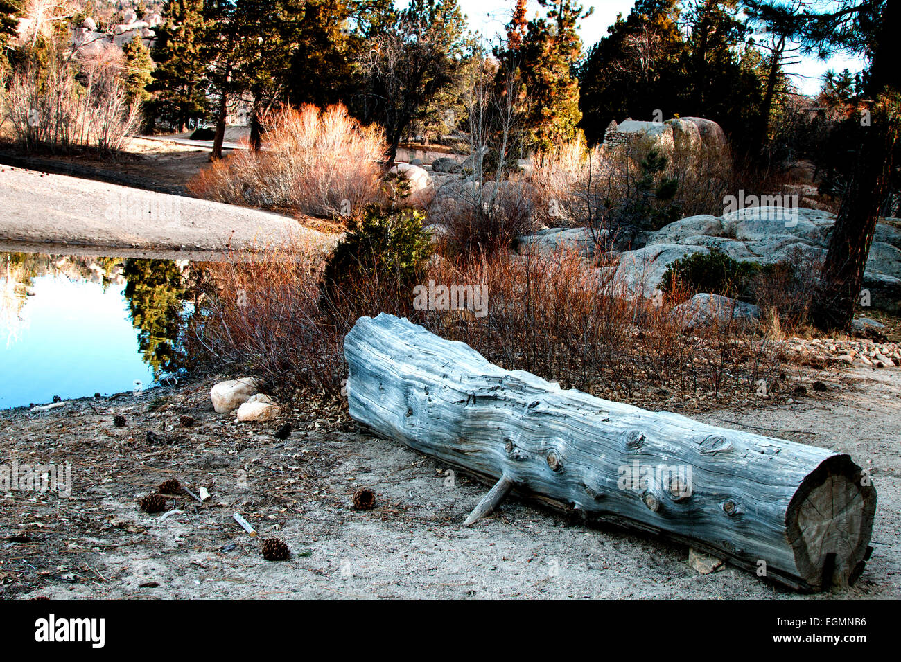 L inverno al Big Bear Mountain Foto Stock