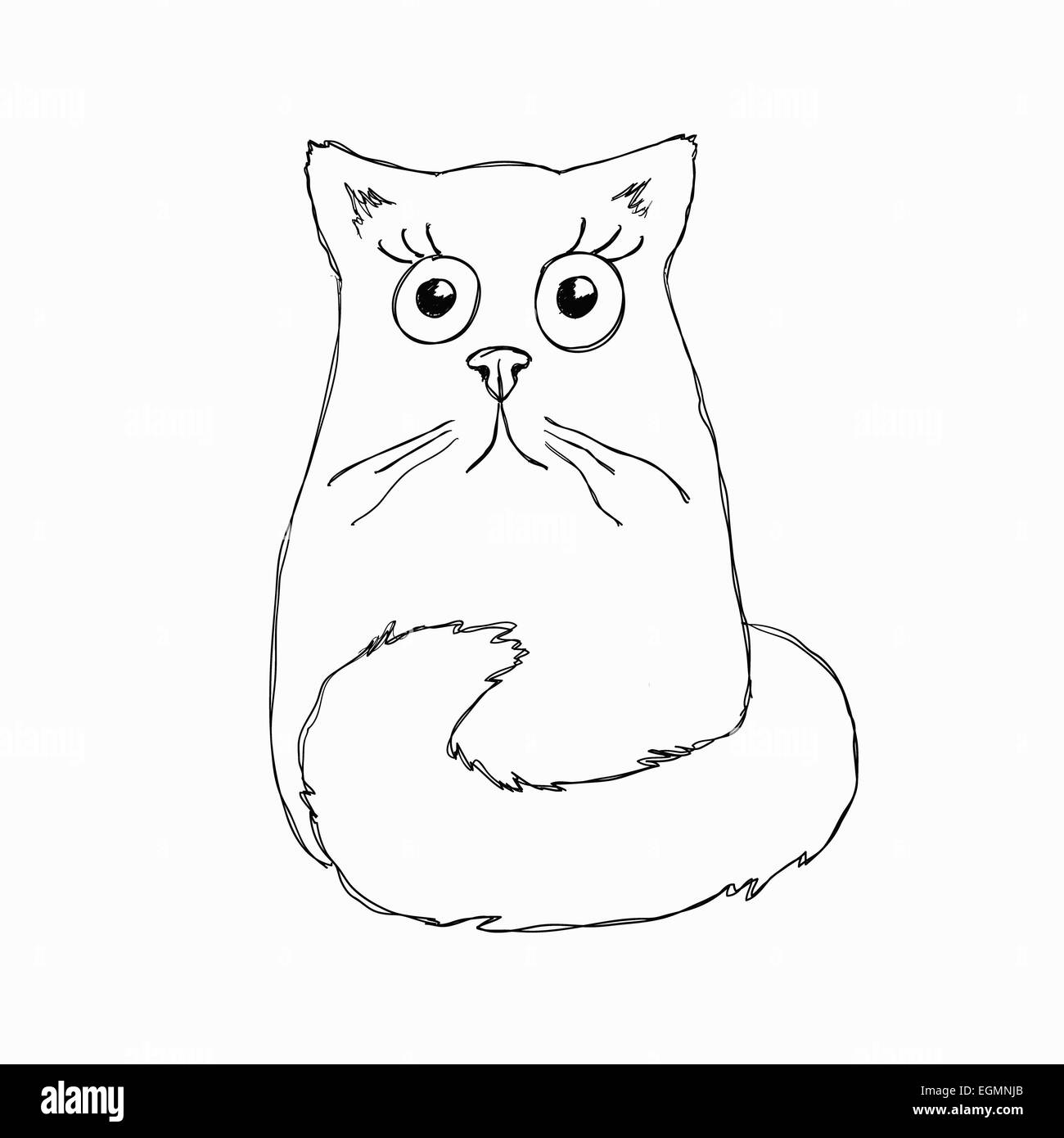 Funny sorpreso Cat Foto Stock