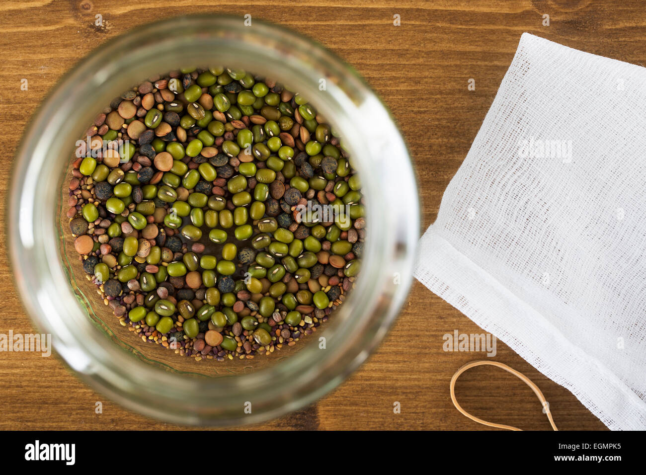 Mung bean e altri fagioli e semi in germinazione jar visto direttamente dall'alto. Foto Stock