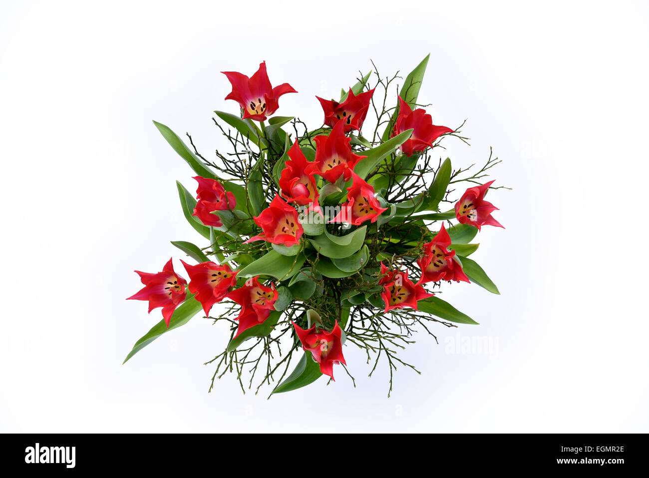 Bouquet di fiori, i tulipani Foto Stock
