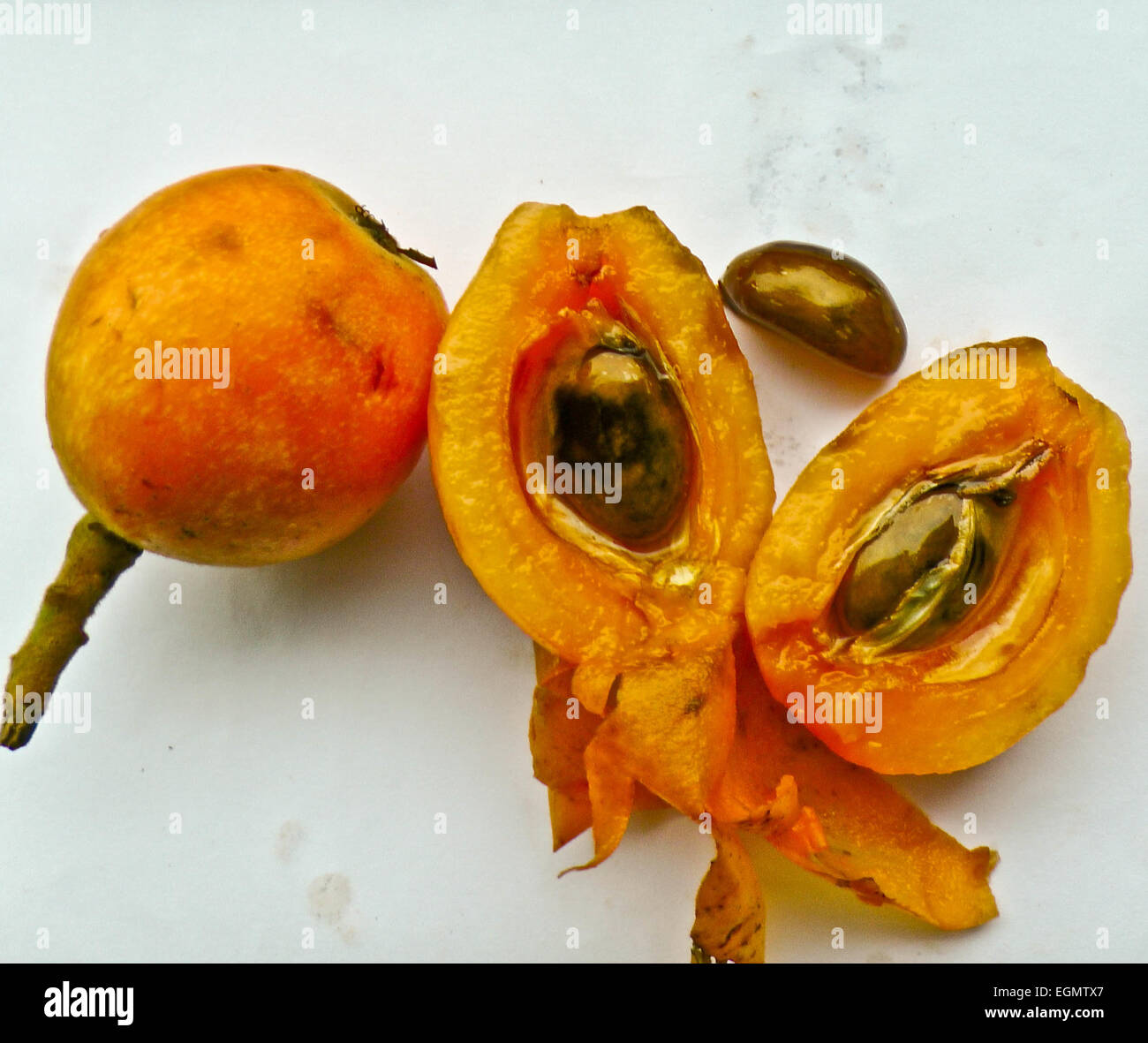 Piatto gustoso e saporito il giapponese nespola. Foto Stock