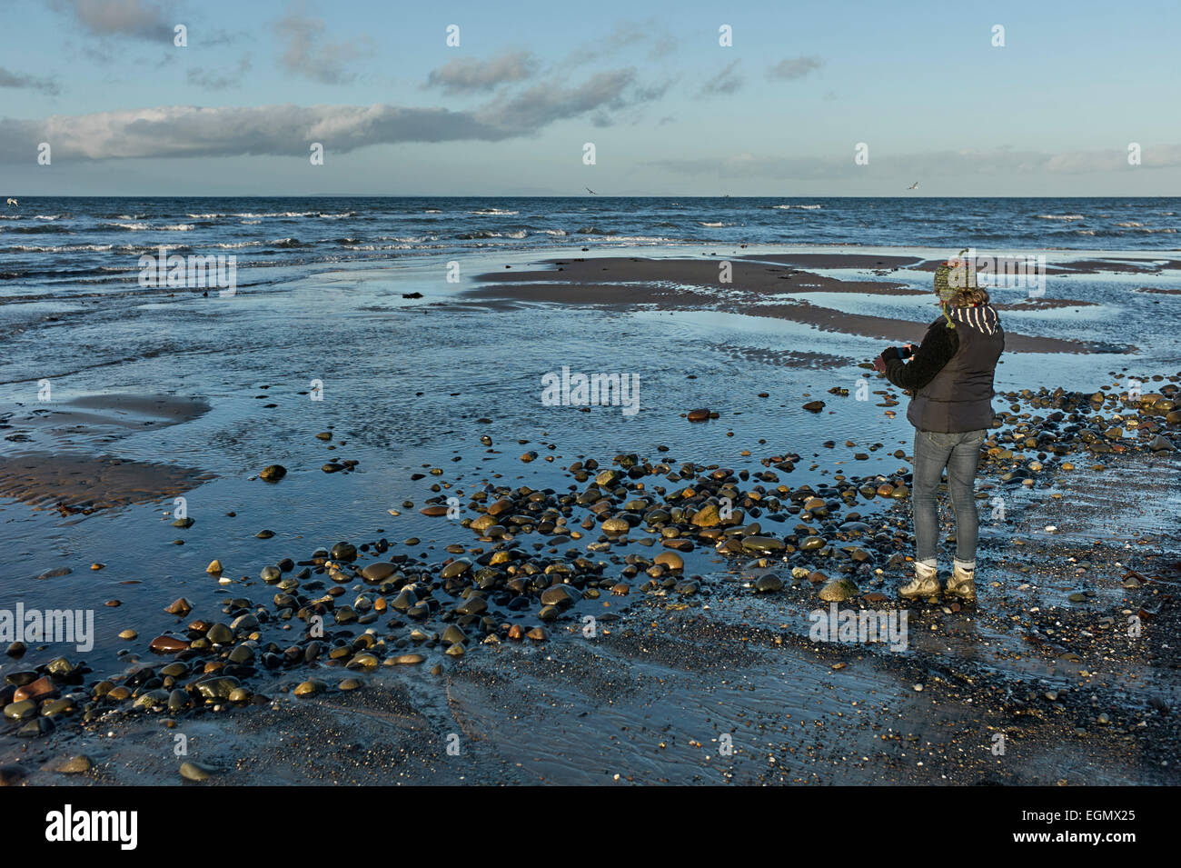 Donna prendendo pic di pietre sulla spiaggia con iPhone Foto Stock