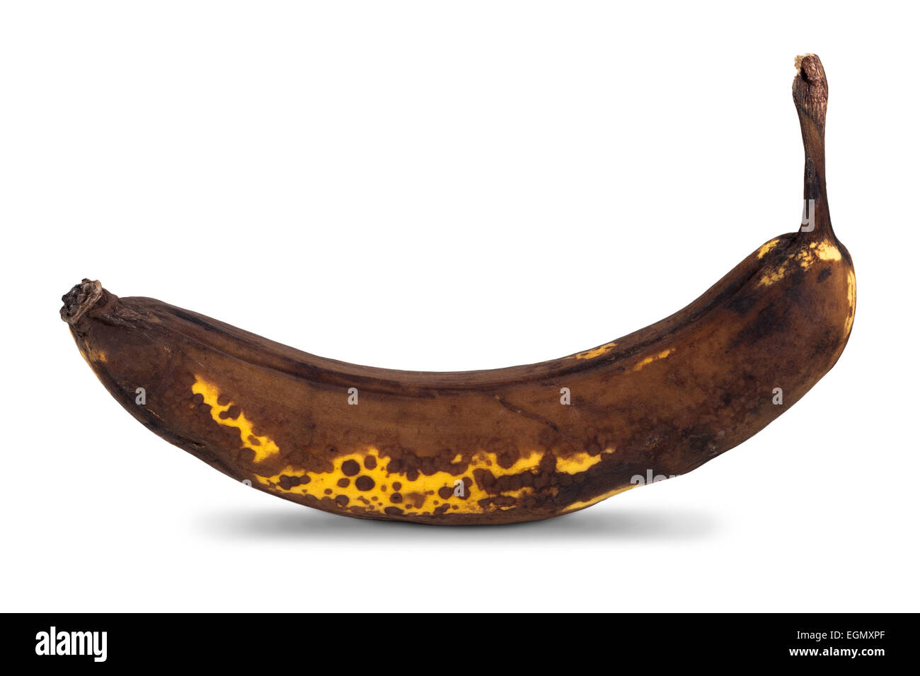Primo piano di una banana stramature con ombra, isolati su sfondo bianco Foto Stock