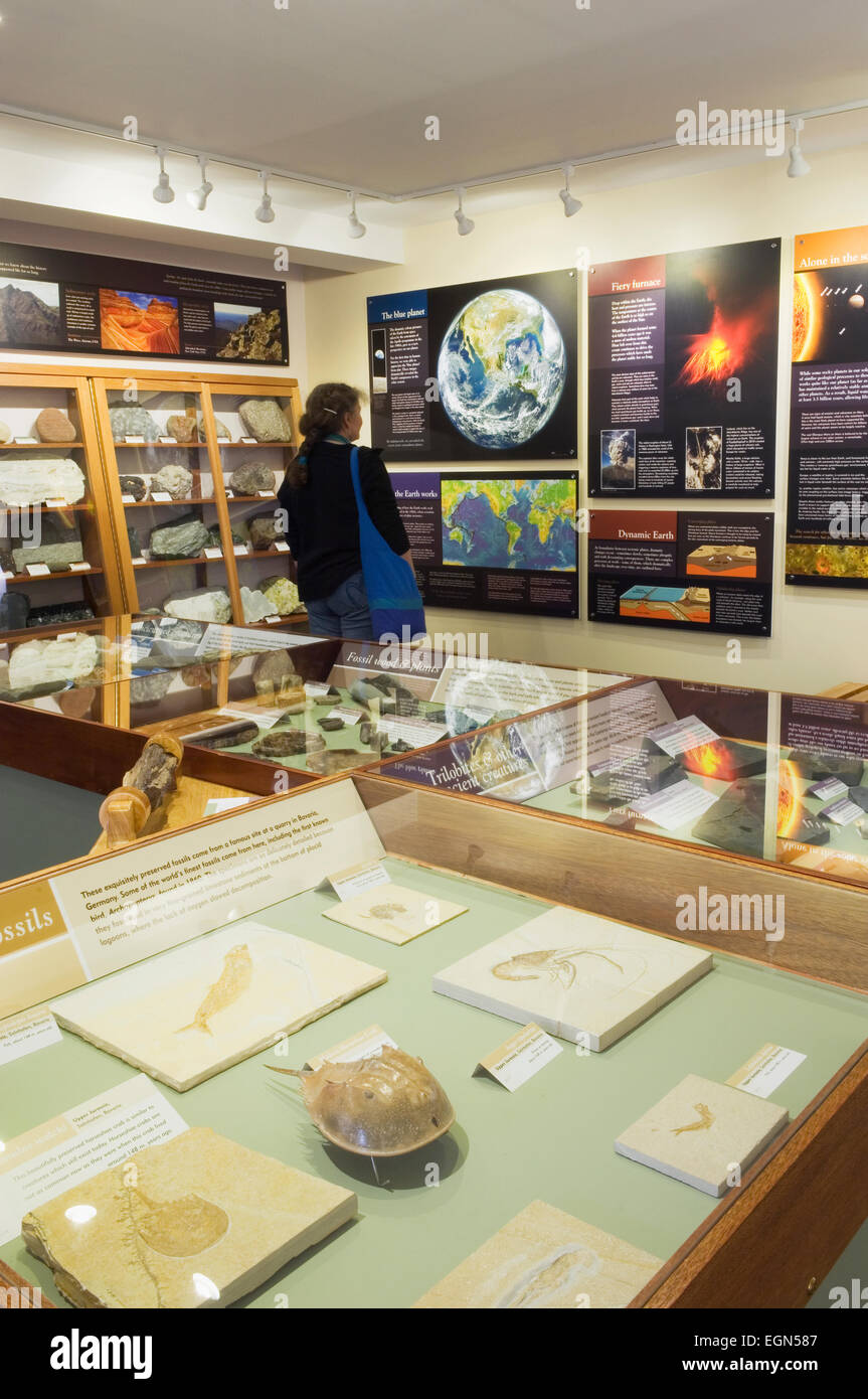 Orkney fossile e il Centro del Patrimonio dell'isola di Burray, Orkney Islands, Scozia. Foto Stock
