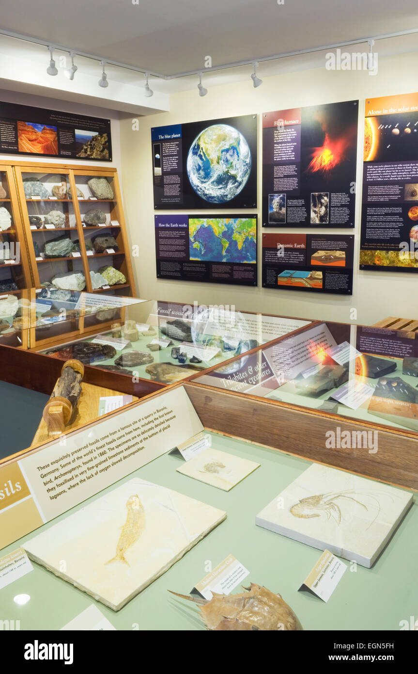 Orkney fossile e il Centro del Patrimonio dell'isola di Burray, Orkney Islands, Scozia. Foto Stock