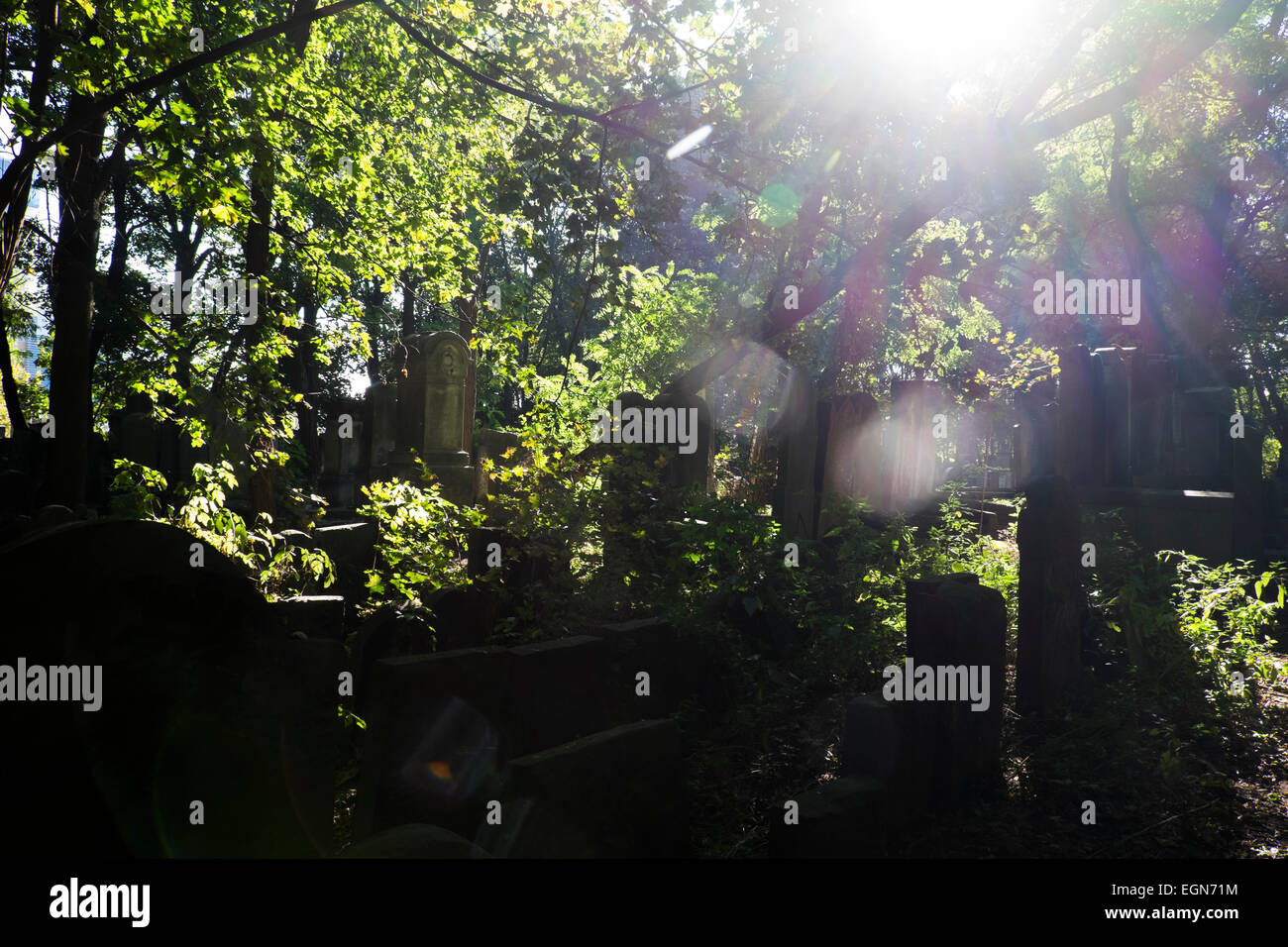 Cimitero ebraico a Varsavia, Polonia Foto Stock