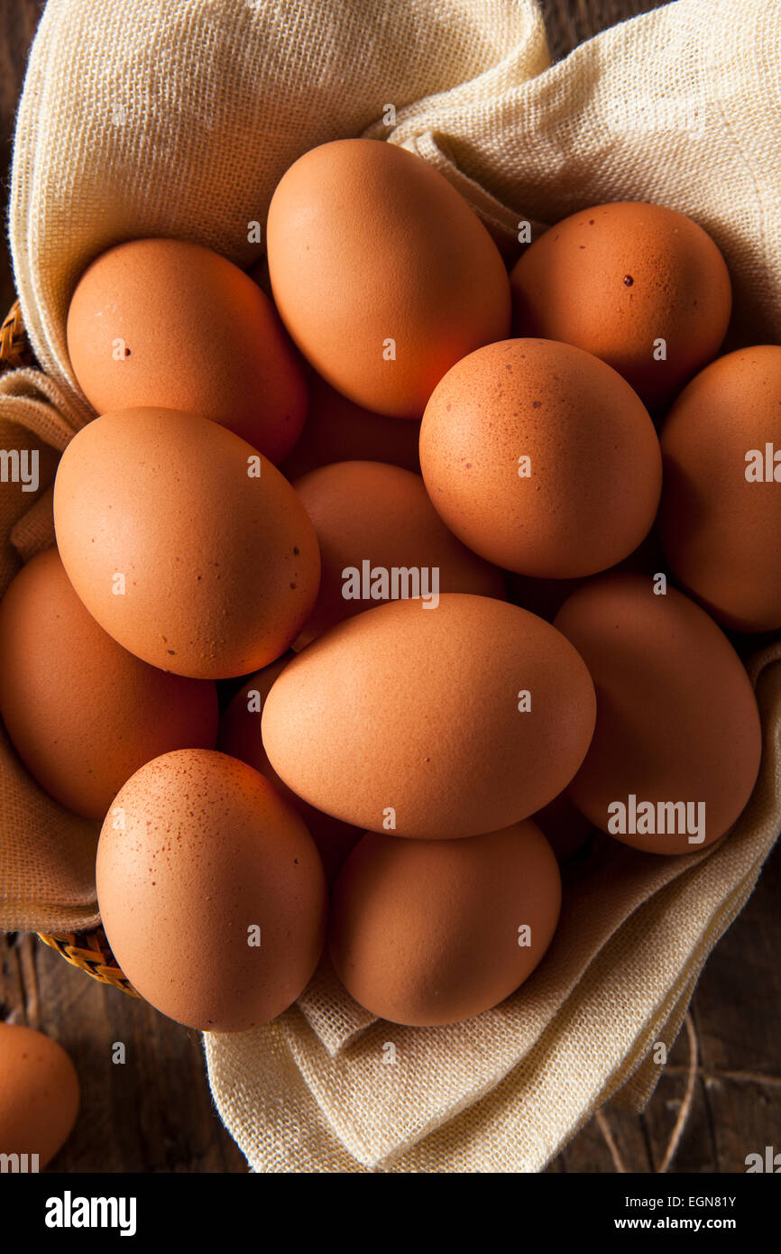 Materie organica marrone le uova in un cesto Foto Stock