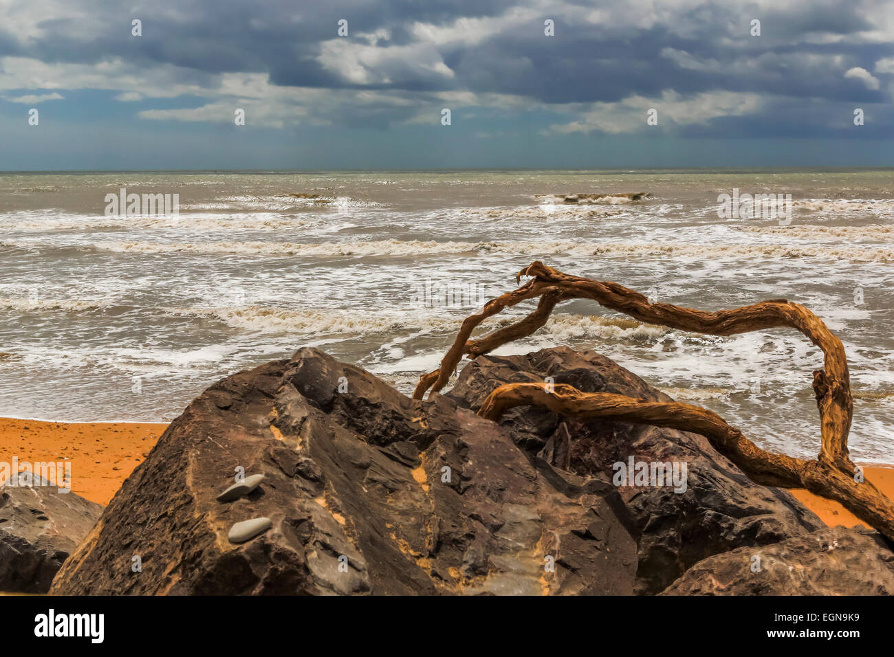 Rock & driftwood su South Coast Beach, Dorset, England, Regno Unito Foto Stock
