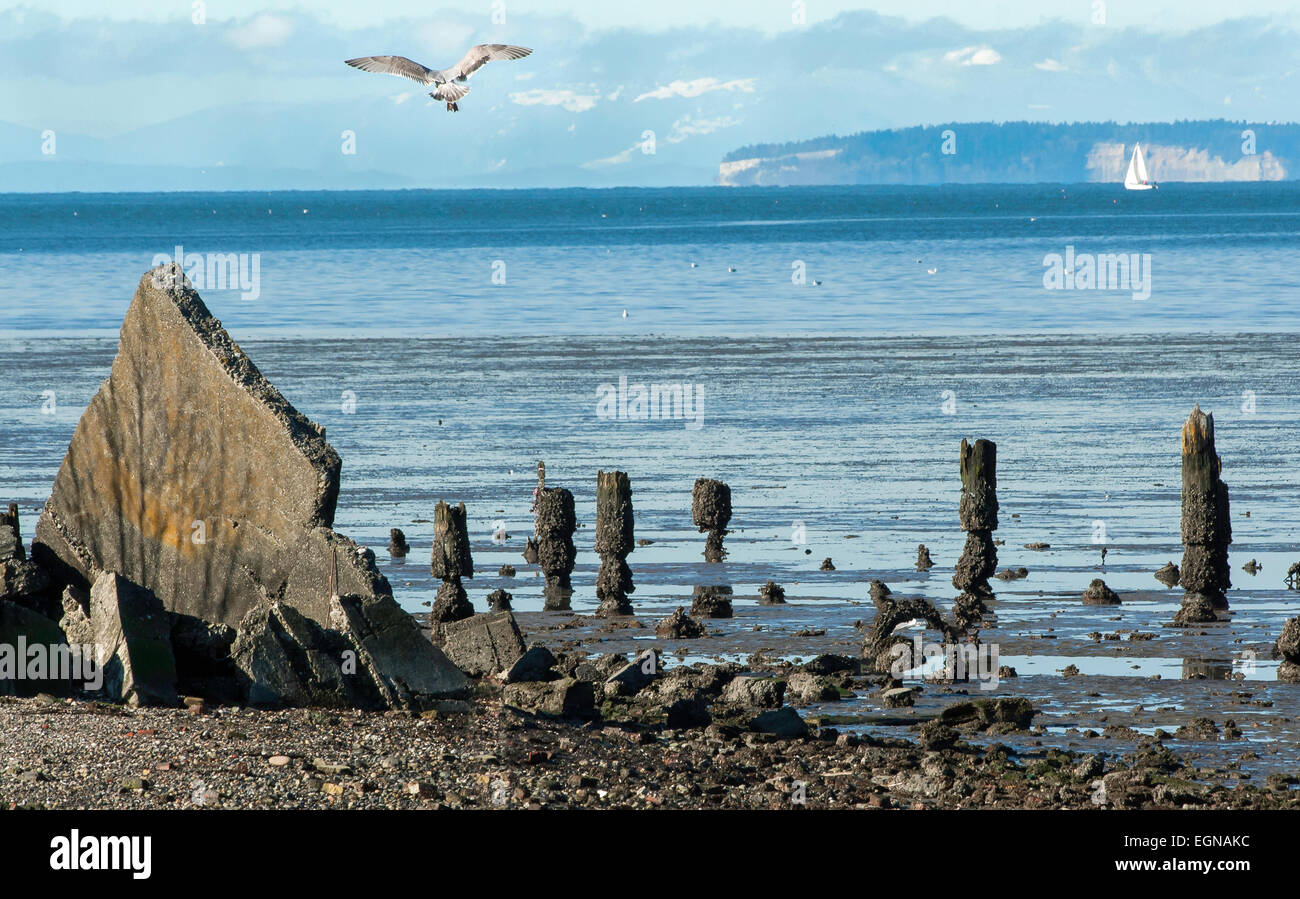 Vista da Blaine Marine Park nello stato di Washington Foto Stock