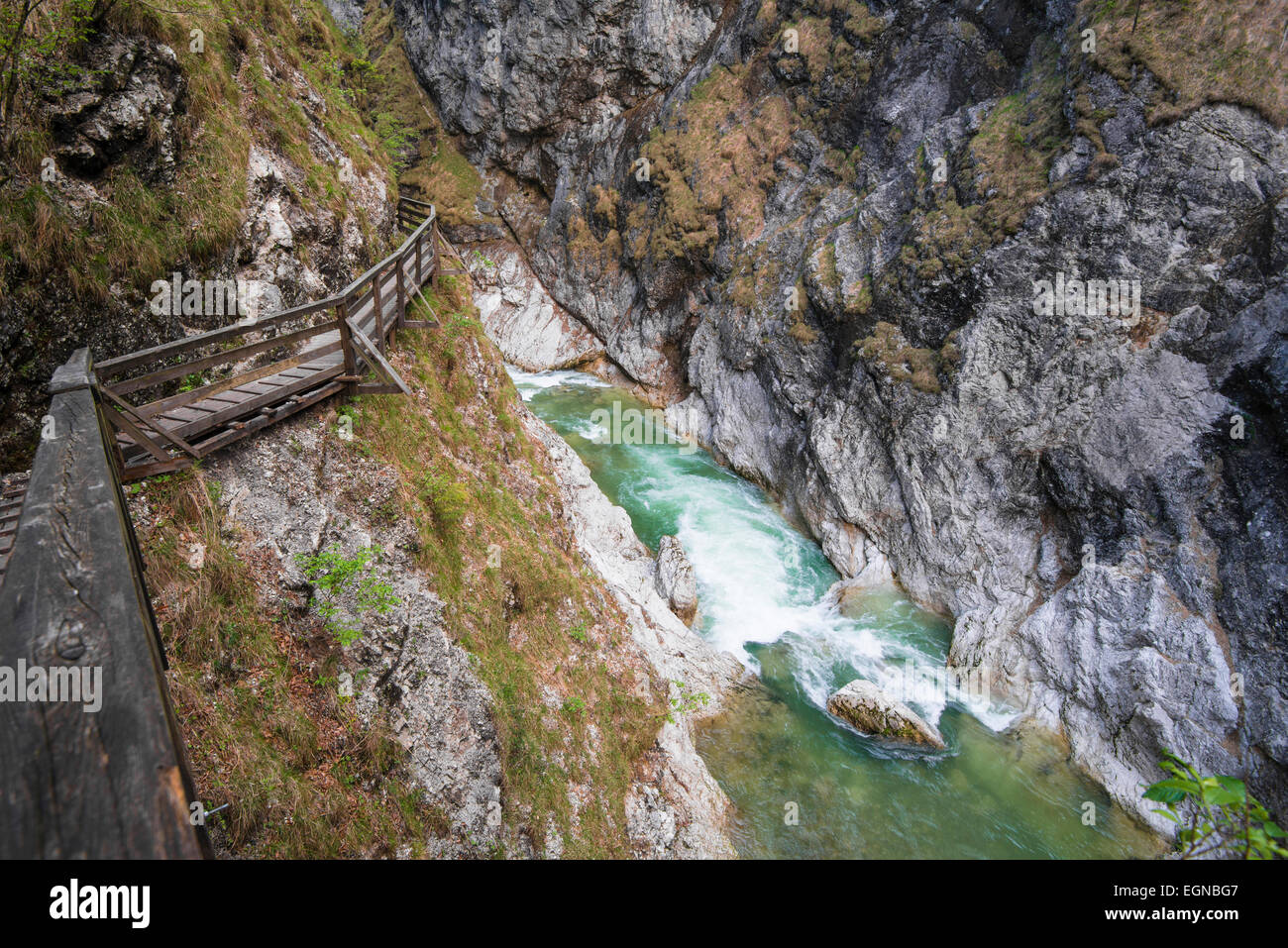 In Lammerklamm gorge, Lammeröfen, Fiume Lammer, Tennen montagne, Scheffau, Lammer Valley, Tennengau, Salisburgo, Austria Foto Stock