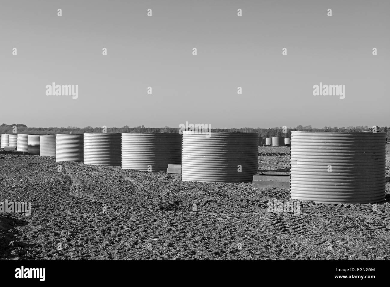 Capovolta suino all'aperto ospita su un suino allevamento, Sutton, Suffolk, Regno Unito. Foto Stock